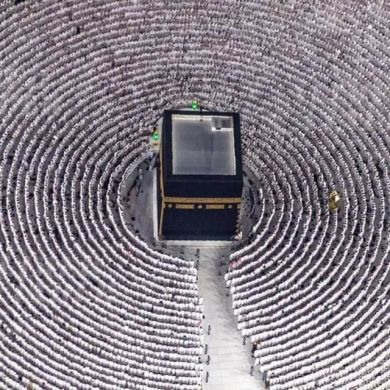 mohammed shamil profile picture