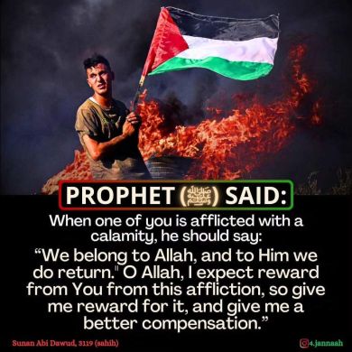 Firdos Ahmed Profile Picture