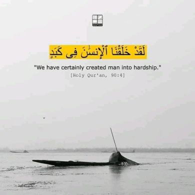 Miraj Nurbegen Profile Picture