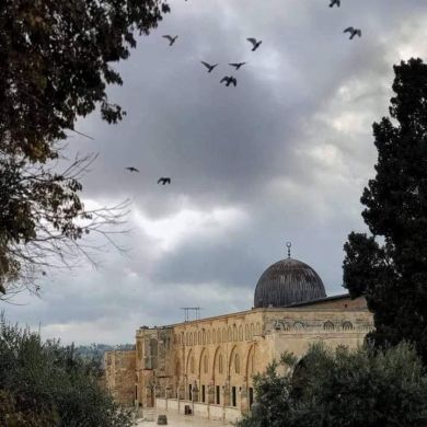 رحاب ربيع Profile Picture