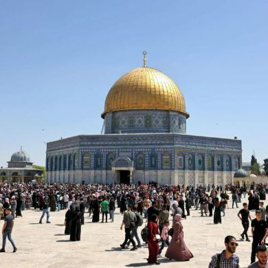 Jemberu Mukerem profile picture