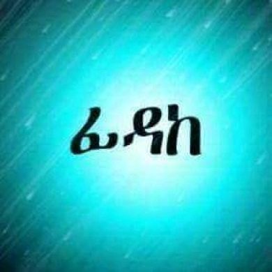 muhammed ahmed Profile Picture