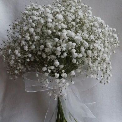 شيماء بن عيسى