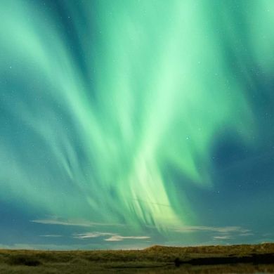 mohammed jemal Profile Picture