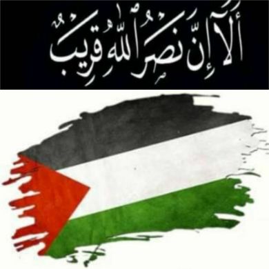 Liyu Siraj Profile Picture