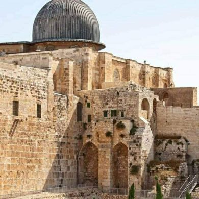 usmanahmedin Profile Picture