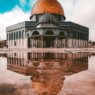 Amir mehamed Profile Picture