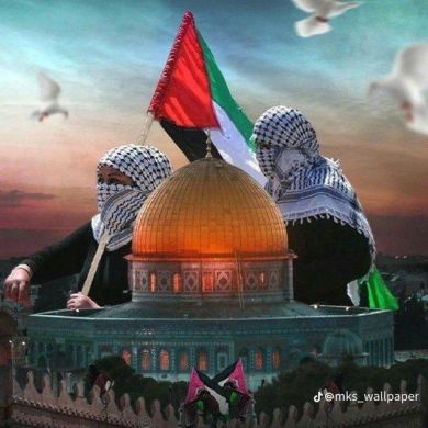 Abdulfetah Awol Profile Picture