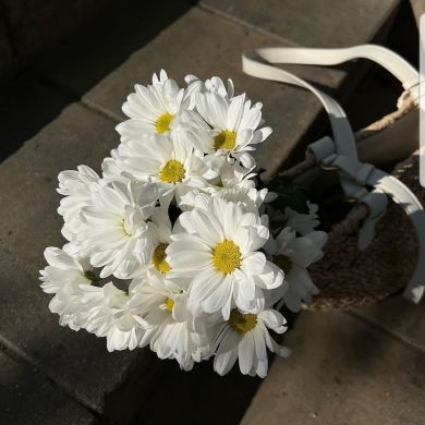 Maha Ahmed Profile Picture