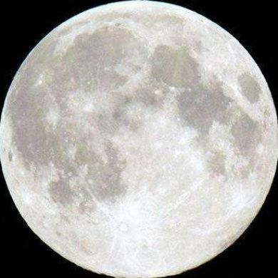 Muhammad Adzhiev Profile Picture