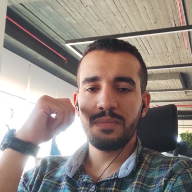 سيد عبد الحكيم