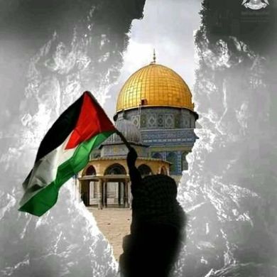 Mohamed Sabra Profile Picture