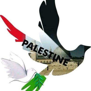 semu semuti Profile Picture