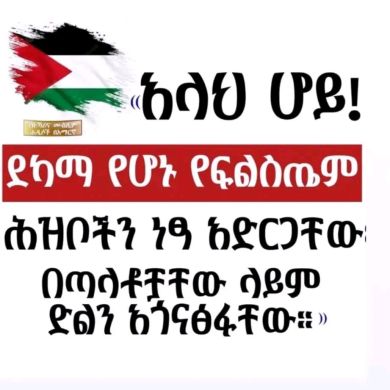 bahredin Profile Picture