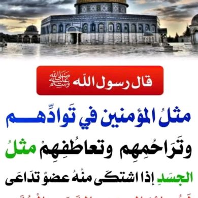 Yassin Mohammed Profile Picture