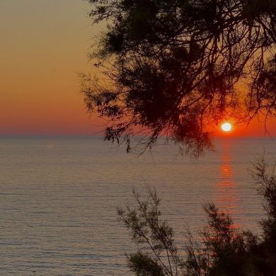 mohamed kord Profile Picture