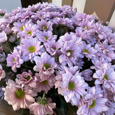 Rose Nazari Profile Picture