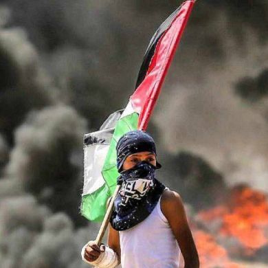 Kodzoev Profile Picture