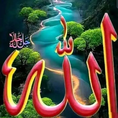 abidu tofik Profile Picture