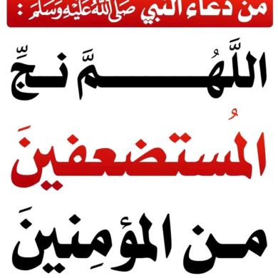 abduselam selman Profile Picture