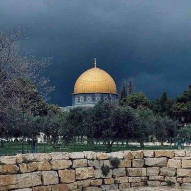 فاطمة أمة_الله Profile Picture