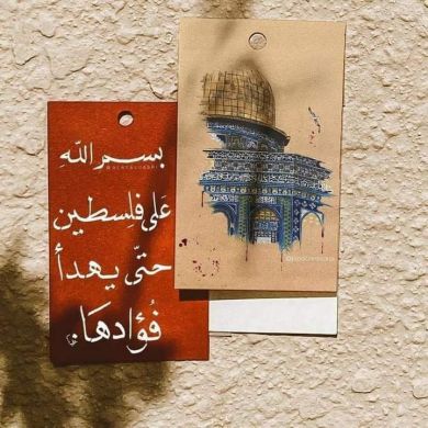 دينا جابر Profile Picture