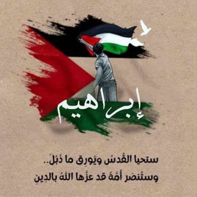 Ibrahem-Mohamed Rashed Profile Picture