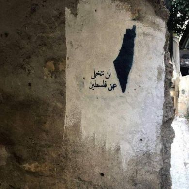 Mohamed Ragb Toto Profile Picture