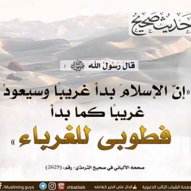 سمير إبراهيم Profile Picture