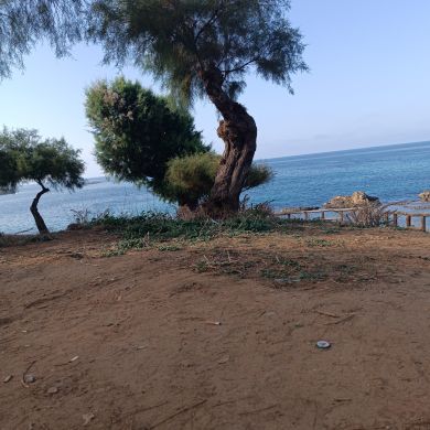 Islam Sobh Profile Picture