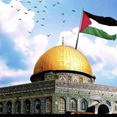 Rahma Ferid Profile Picture