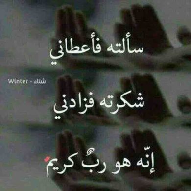 umu judama Profile Picture