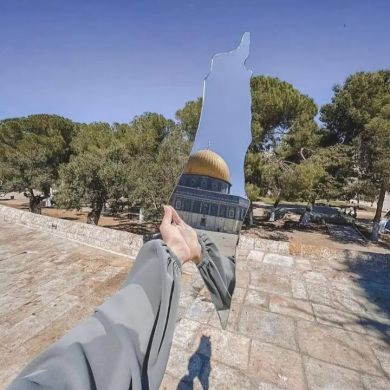 hikma dino Profile Picture