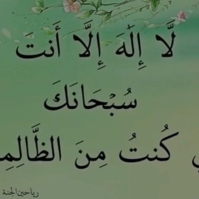 41993075 Profile Picture