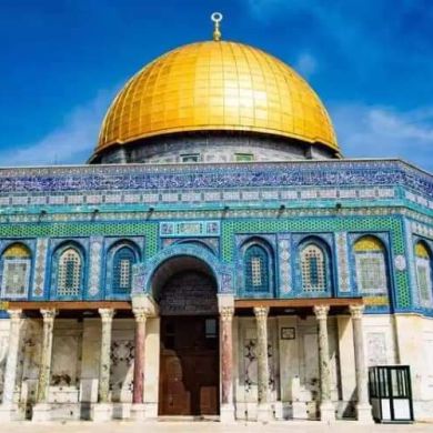 umma1698026927 Profile Picture