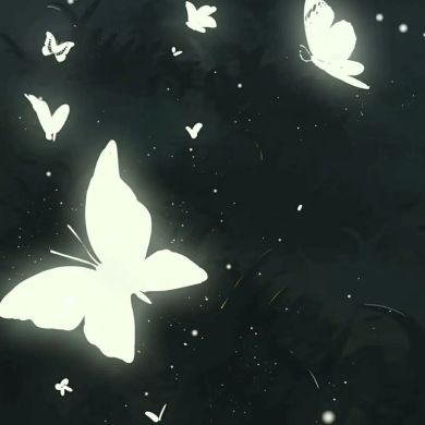 فراشة أحلام اليقظة Profile Picture