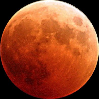 عبد الله غالي Profile Picture