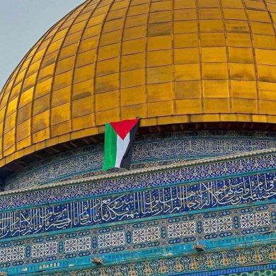 محمد الموصلي Profile Picture