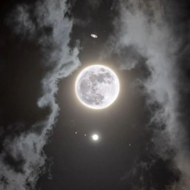 Muslimah kn Profile Picture