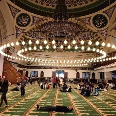 رحاب مهني Profile Picture