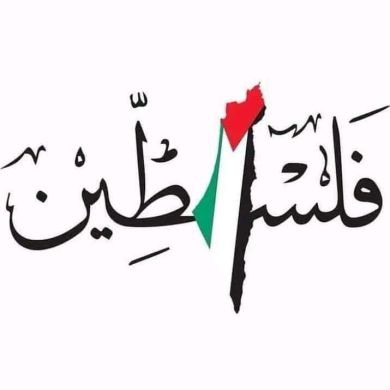 Mai Mohamed Ezz Eldain Profile Picture