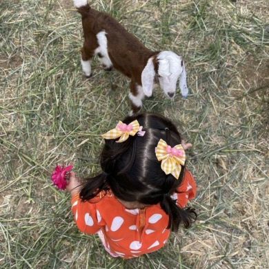 شيـم الغـزاوي