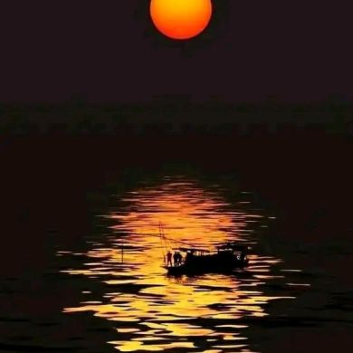 Musefa Shem Profile Picture