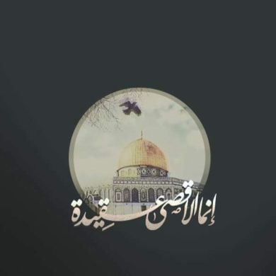 محسن أبو زينب