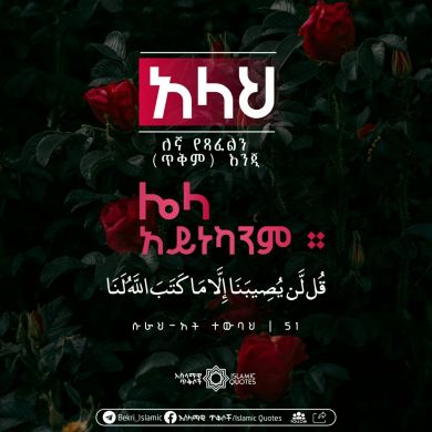 Mubarek bin Ali profile picture