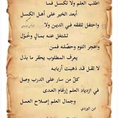 Nesredin Nejash Nur Profile Picture