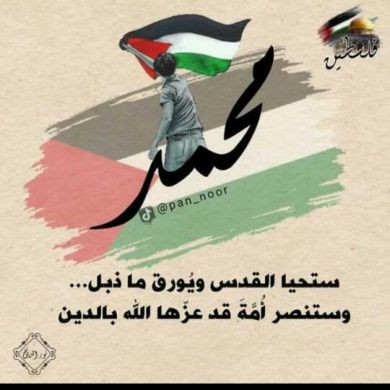 محمد سعد Profile Picture