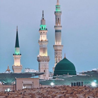 Zeyinba Enderis Profile Picture