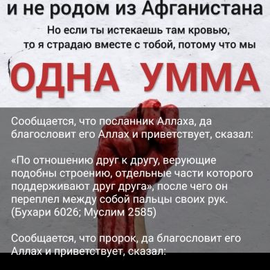 Umar Abu Halid Profile Picture