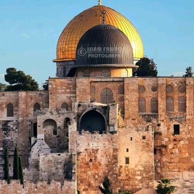 Anwar Nassir Profile Picture